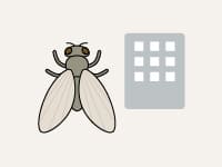 コバエ（チョウバエなど）駆除 / 店舗用